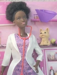 Barbie You Be Anything Veterinarian African American Doll W/dog& Accessories New. Price: $16.50.